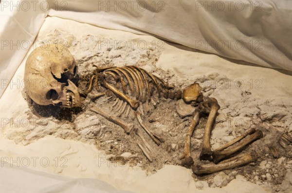Neolithic archaeology exhibition inside Alexander Keiller Museum, Avebury, Wiltshire, England, UK -