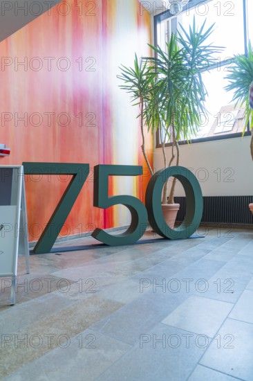 Large number 750 as decoration in front of a colourful wall with bright plants, family party in