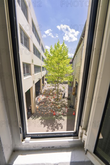 View from a window onto a courtyard with a tree, surrounded by buildings under a blue sky, Calw