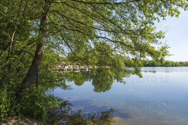 Lippesee, reservoir, tree in the foreground, Sande, Paderborn, Westphalia, North Rhine-Westphalia,