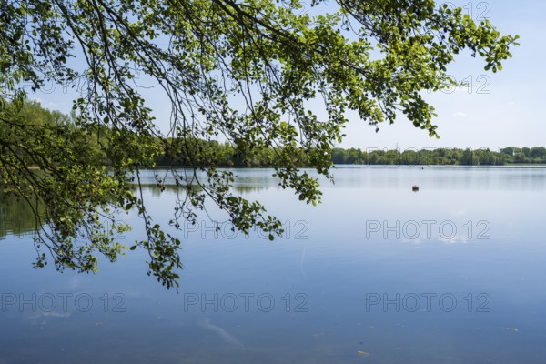 Lippesee, reservoir, branch in the foreground, Sande, Paderborn, Westphalia, North