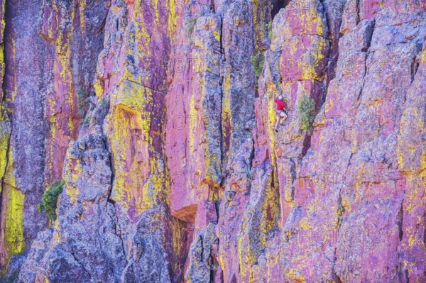 Man climbing canyon wall, Tonto National Forest, Arizona, USA, North America