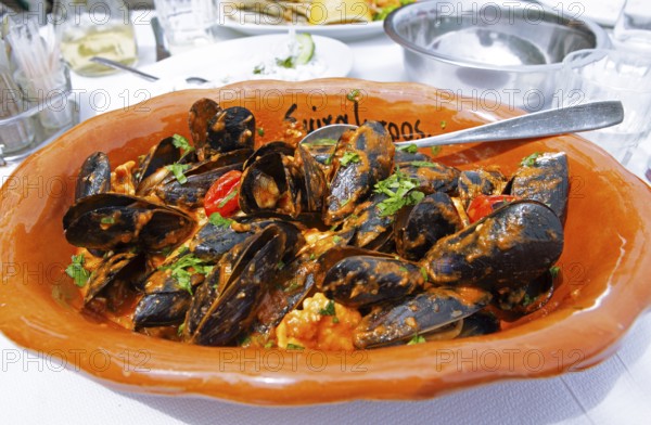 Mussels saganaki or mussels with tomato sauce and feta, typical Greek food, Pelion peninsula or