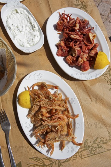 Freshly caught grilled prawns, grilled octopus and tzatziki, typical Greek food, Pelion peninsula