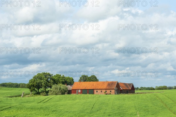 Landscape with red farm buildings by green field with crops and lots of clouds in Ystad