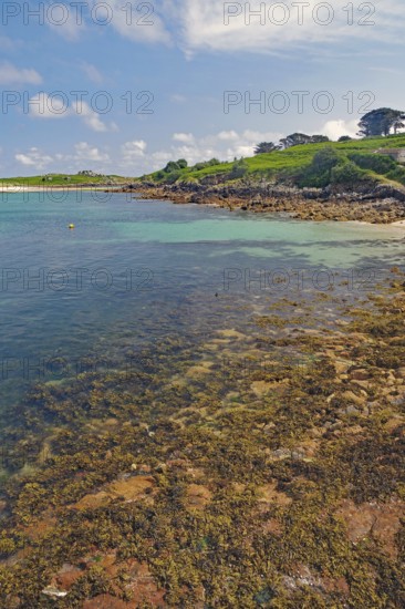 Natural coastline with rocks and trees, turquoise sea and vast sky, St Agnes, Isles of Scilly,
