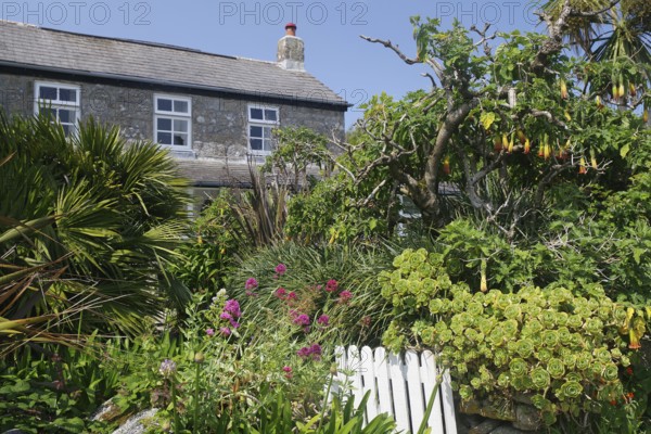 A stone house surrounded by a lush garden with tropical plants and colourful flowers under a blue