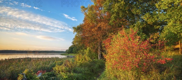 Evening at the lake in autumn, hiking trail on the shore, Großer Lychensee, Lychen, Uckermark,