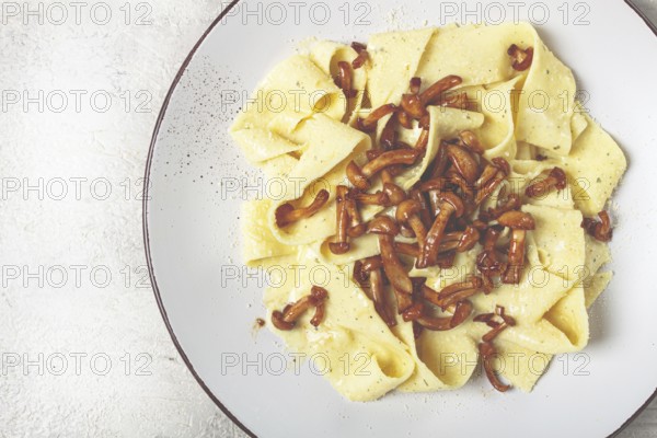 Pasta papardelle, in creamy garlic sauce, with mushrooms, traditional Italian cuisine, pasta