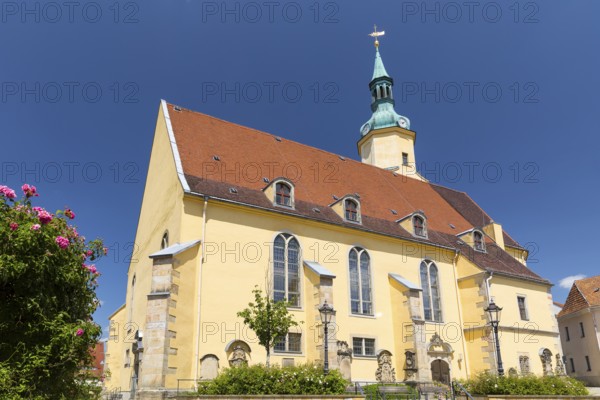 Stadtkirche St. Nicolai in Pulsnitz, Saxony, Germany