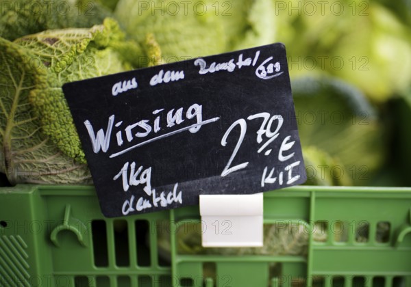 Price tag, price label, savoy cabbage, vegetable stand, market stand, market, Fellbach,
