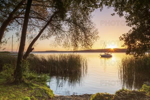 Sunrise at a swimming area on Schwielowsee near Potsdam, sailboat anchored in water, reeds and