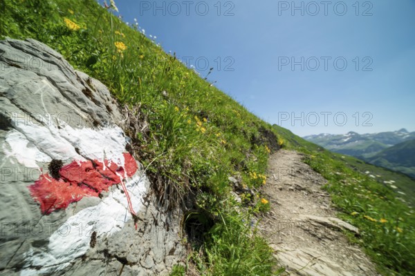 Trail marker on the Laufbacher-Eckweg, a demanding high-altitude hiking trail from Höfatsblick