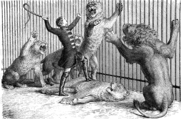 Thomas Batty, 1832-1903, English tamer and circus owner and his lions, woodcut from 1864