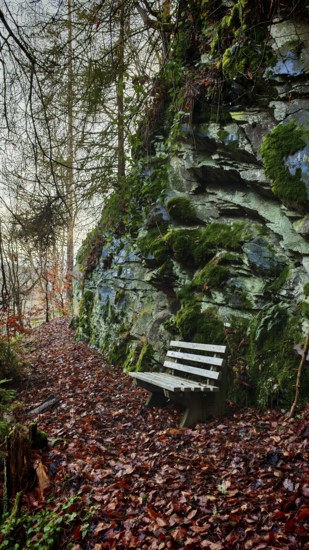 Leafy, atmospheric forest trail with a bench next to rocks covered with moss, Thuringian Forest