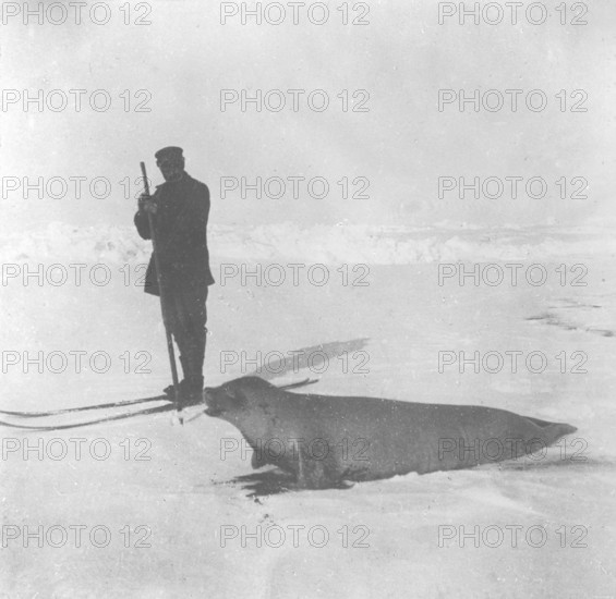 Adrien de Gerlache, the leader of the Belgian Antarctic expedition (1897 - 1899) hunts a seal,