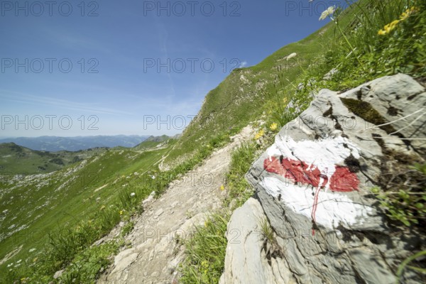 Trail marker on the Laufbacher-Eckweg, a demanding high-altitude hiking trail from Höfatsblick