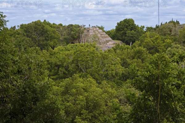 Northern acropolis in rainforest or jungle, Yaxha-Nakum-Naranjo National Park, Biósfera Maya Nature