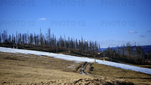 Winter landscape with ski slope made of artificial snow and bare trees under a blue sky, forest