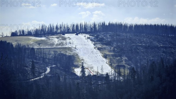 Snow-covered ski slope made of artificial snow in a mountainous forest area with spruce trees