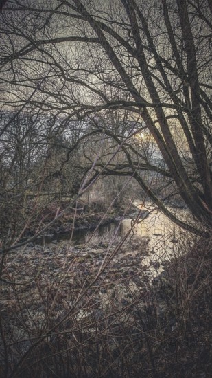 A river runs under bare trees and leaves behind a melancholy winter atmosphere, Franconian Forest