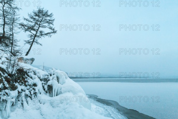 Lake Baikal, Siberia, Russia. Trees on snow covered frozen ground around frozen Lake Baikal in