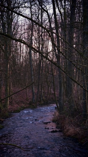 A stream flows through a wintry forest at dusk, surrounded by bare trees, Frankenwald nature park