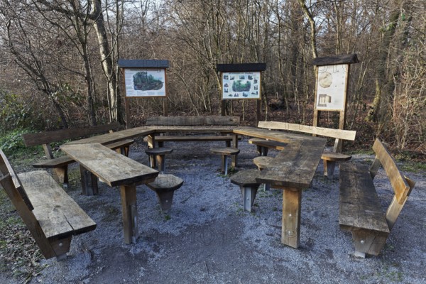 Rest area in the forest with wooden tables and benches, information boards about forestry, Kalkumer