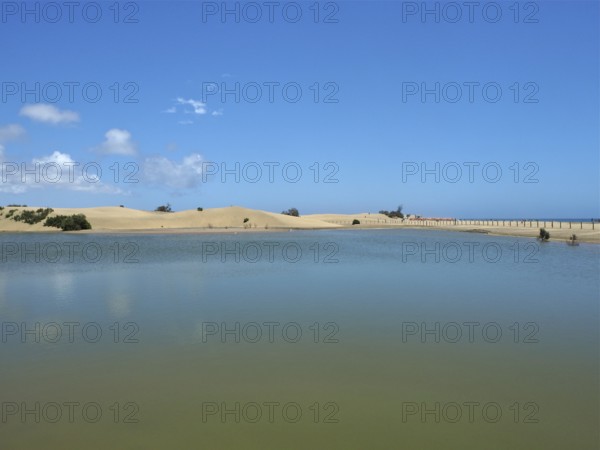 Tranquil lagoon lake with sand dunes under blue sky, El Oasis de Maspalomas, Gran Canaria, Canary