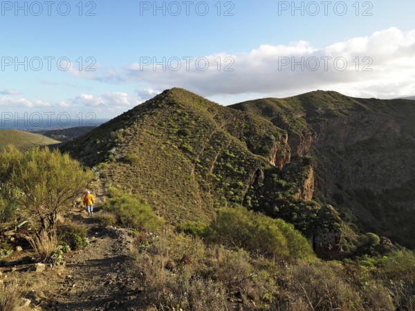 Hiker on a trail along a sunny mountain ridge with views of the hills, Caldera de Bandama volcanic