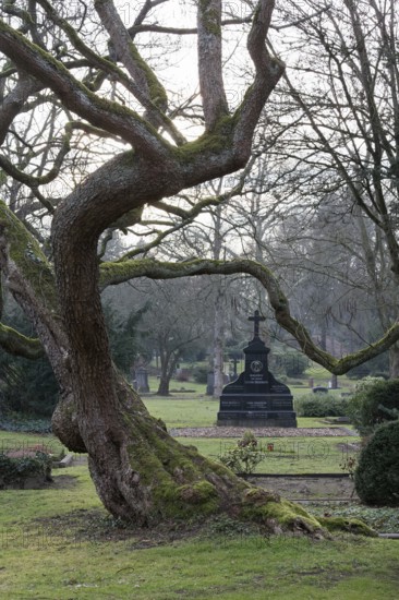 Gartendenkmal Düsseldorfer Nordfriedhof, park-like complex, Düsseldorf, North Rhine-Westphalia,