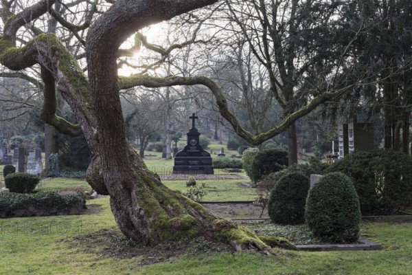 Gartendenkmal Düsseldorfer Nordfriedhof, park-like complex, Düsseldorf, North Rhine-Westphalia,