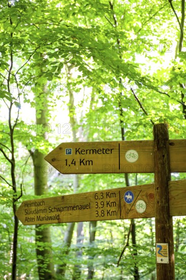 Schleiden, North Rhine-Westphalia, Germany — Eifel National Park. Information sign, Heimbach,