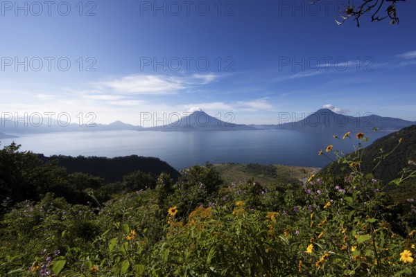 Lake Atitlán or Lake Atitlán in the morning, in the back the volcanoes San Pedro, Atitlán and