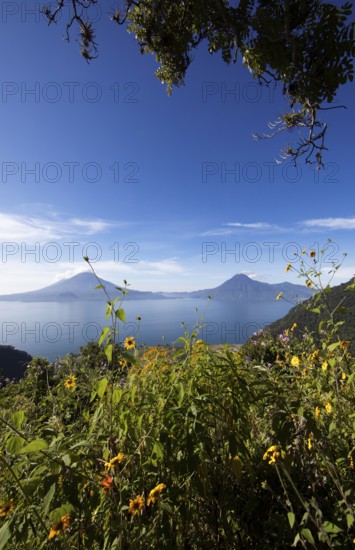 Lake Atitlán or Lake Atitlán in the morning, in the back the volcanoes San Pedro, Atitlán and