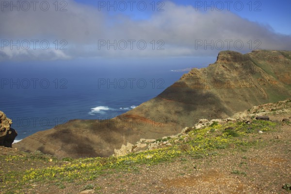 Mountainside with flowers and sea views, under blue sky with clouds, Mirador de Ermita de Las