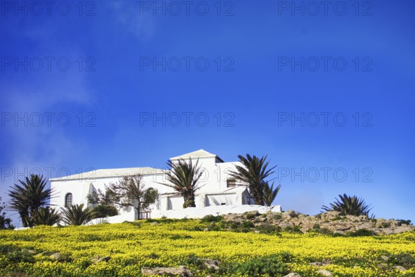 Small church (Ermita de Las Nieves) with palm trees surrounded by yellow flowers, Mirador de Ermita