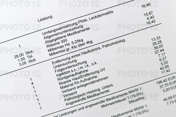 Germany - January 20th 2026: Close up of German veterinary bill with detailed medicine and