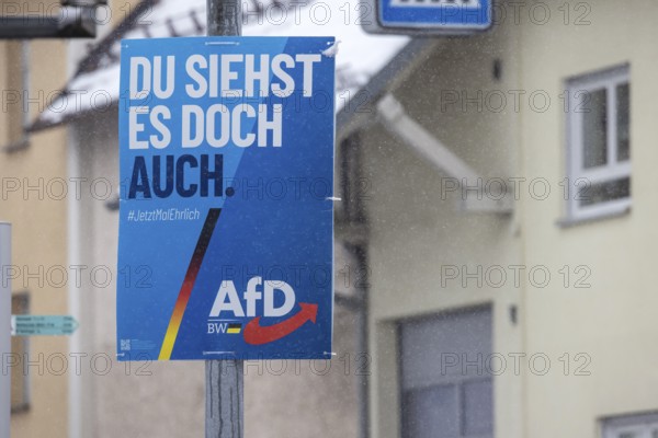 2026 state election in Baden-Württemberg. AfD party election poster. Drackenstein,