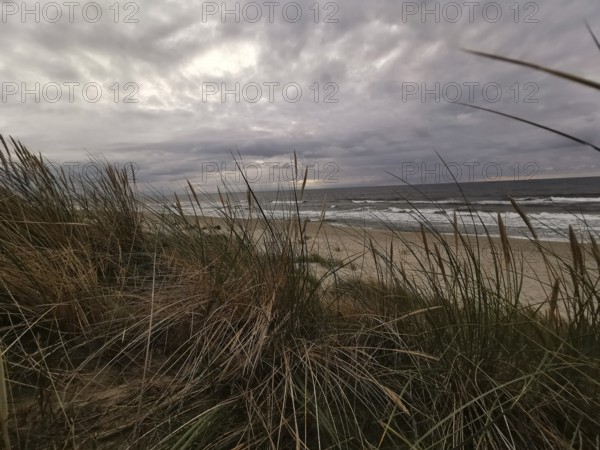 View through dunes of stormy sea, cloudy sky and rough coastal landscape, Baltic Sea, fresh spit,