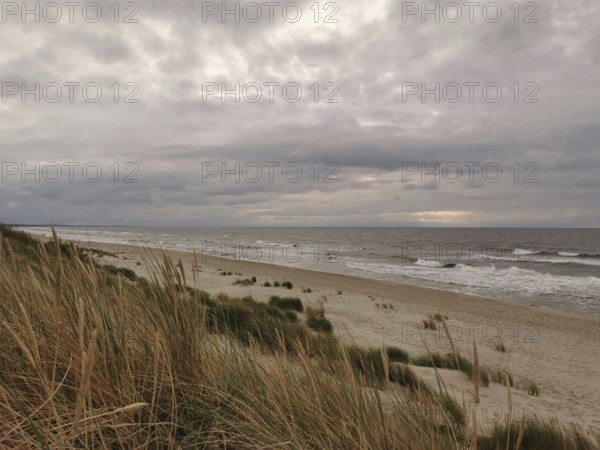 A cloudy beach with dunes in the foreground and gentle waves in the sea, Baltic Sea, fresh spit,