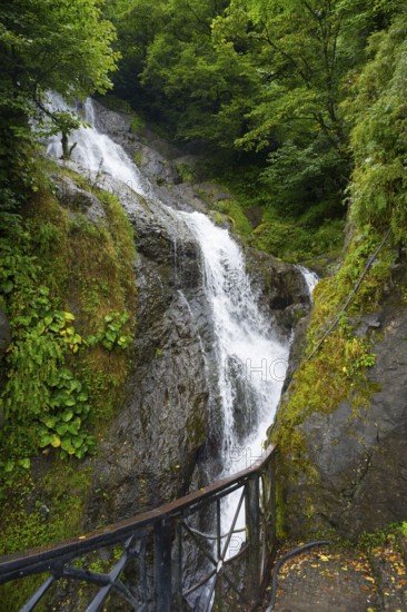 Rustling waterfall flows over rocks in the middle of a green forest, St. Andrew Waterfall, near the