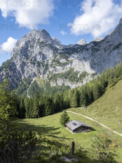 The Halsalm in front of the Halsgrube where bearded vultures are released into the wild, above the