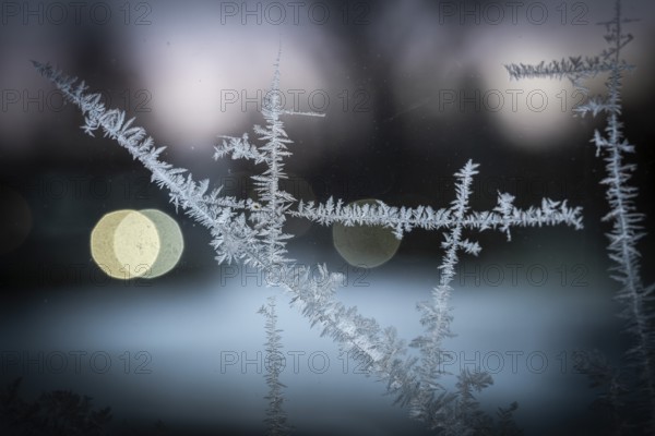 Ice crystals, close-up of frost on glass with bokeh through lights in the background, wintry