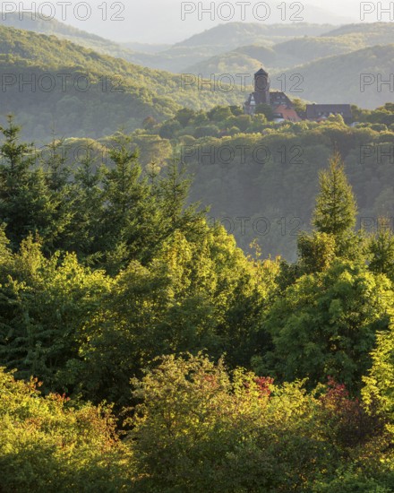 View of Ludwigstein Castle in the evening light, landscape with hills and forest in the Werra Hills
