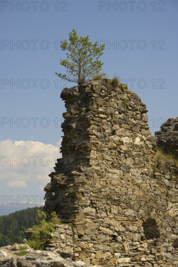 Griffen Castle Ruins, Schlossberg, Griffen, Carinthia