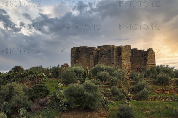 Massive stone walls, ruins and Mediterranean vegetation on a hill, sunset, Chiesa di Santa Maria di