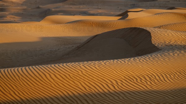 Sand dunes in the Rhub al Khali desert, detailed view, empty quarter, largest sandy desert in the