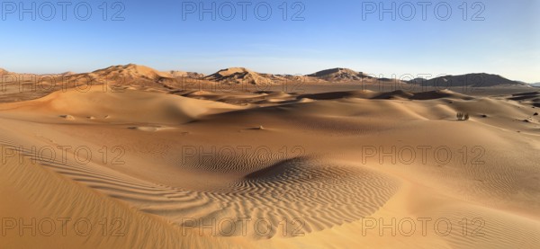 Sand dunes in the Rhub al Khali desert, empty quarter, largest sandy desert in the world, Oman