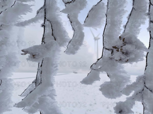 Snow-covered branches in a frosty winter landscape create a quiet and cold atmosphere, wind